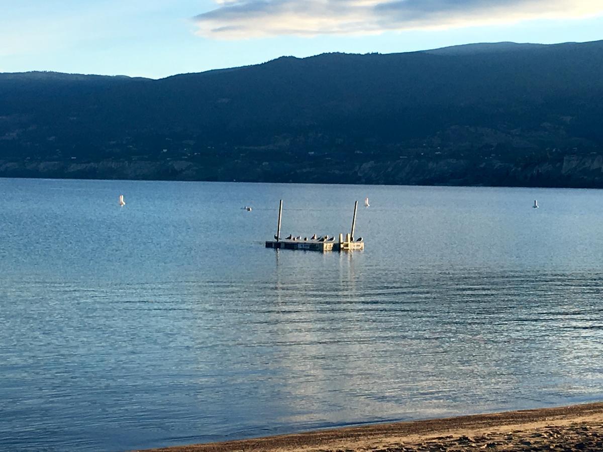 Black Sea Motel Penticton Ngoại thất bức ảnh