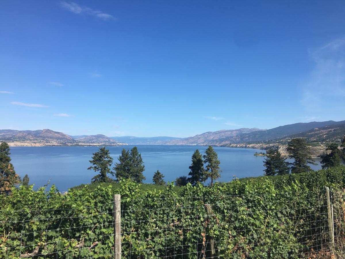 Black Sea Motel Penticton Ngoại thất bức ảnh